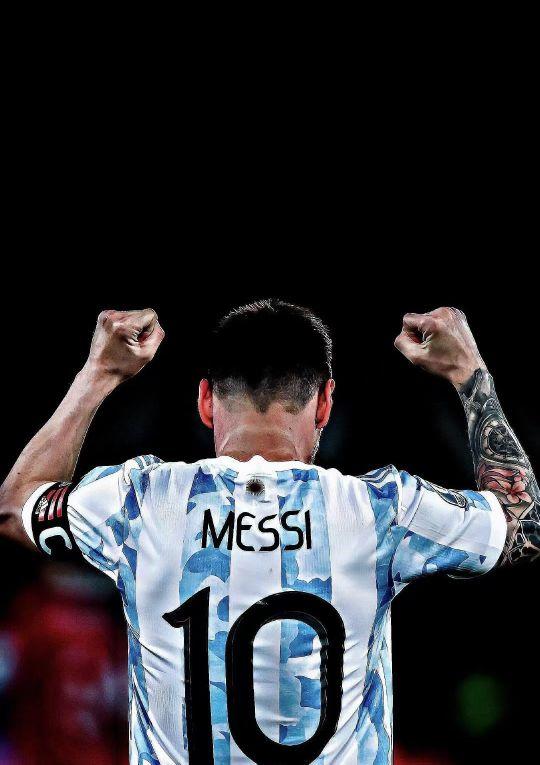 的调教下 的调教下