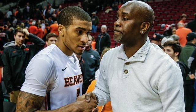 他的深度工 他的深度工