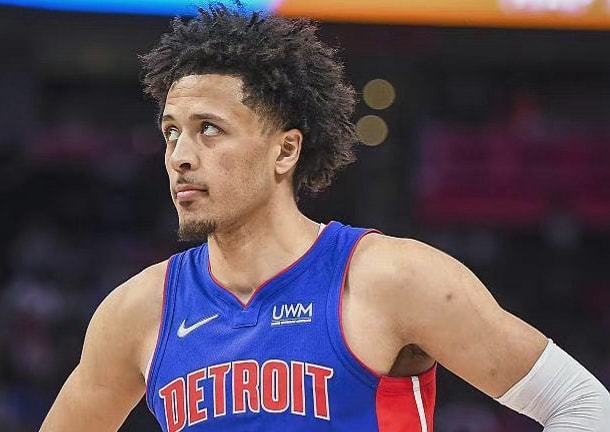 结果显示 结果显示